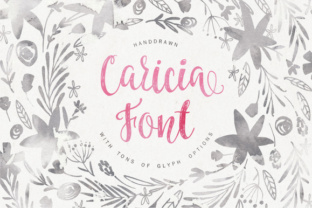 Caricia: A Gentle Script Font for Editorial Warmth