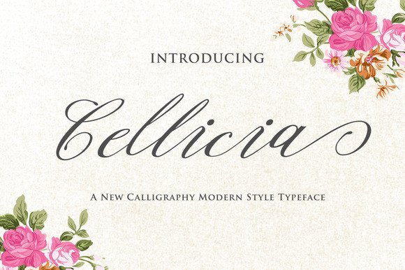 Cellicia: The Script Font That Makes Your Campaigns Feel Intentional