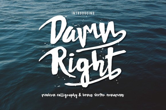 Damn Right: A Playful Script Font That Lifts Your Brand