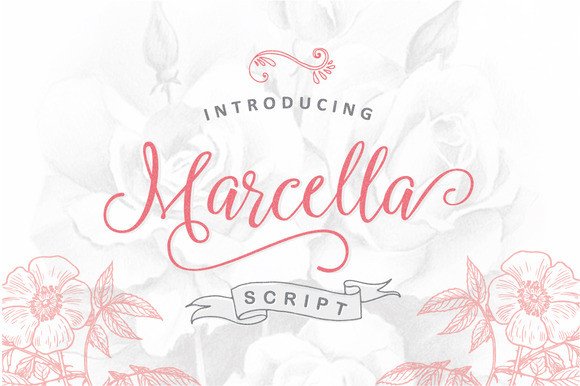 Marcella Script: The Handwritten Font That Makes Your Campaign Feel Human