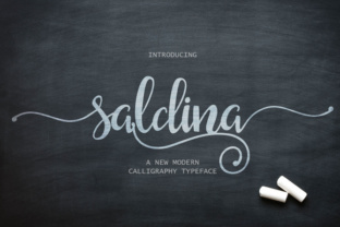Saldina: A Flexible Script Font for Digital Branding